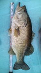 20110511080530.jpg