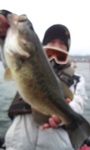 2012_01_31_01_12_14.jpg