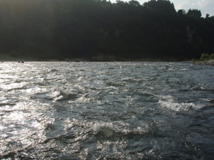 P8210281.jpg