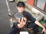 PB150019.JPG