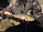 PC020398.jpg