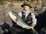 PC150407.jpg