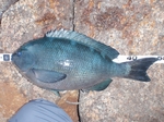 aP1210021.jpg