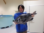 aP1210023.jpg