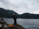 s-PB150013.jpg